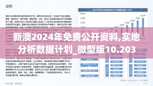 ＂新澳期期精準(zhǔn)＂的：設(shè)計規(guī)劃引導(dǎo)方式_零售版3.45