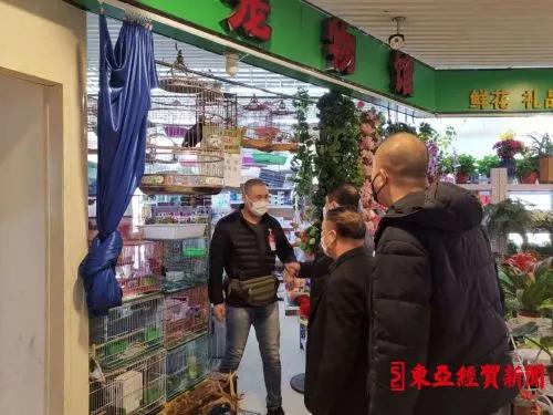 探索自然美景之旅，揭秘2017鷯哥銷售最新資訊，尋找內(nèi)心的平靜與喜悅