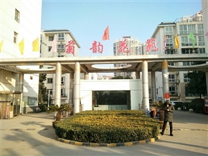 最新社旗獨(dú)家小院出售，市場(chǎng)趨勢(shì)、正反觀點(diǎn)分析與個(gè)人立場(chǎng)探討