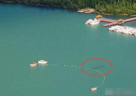 喀納斯湖水怪真相揭秘，探尋神秘之旅的心靈平靜之路